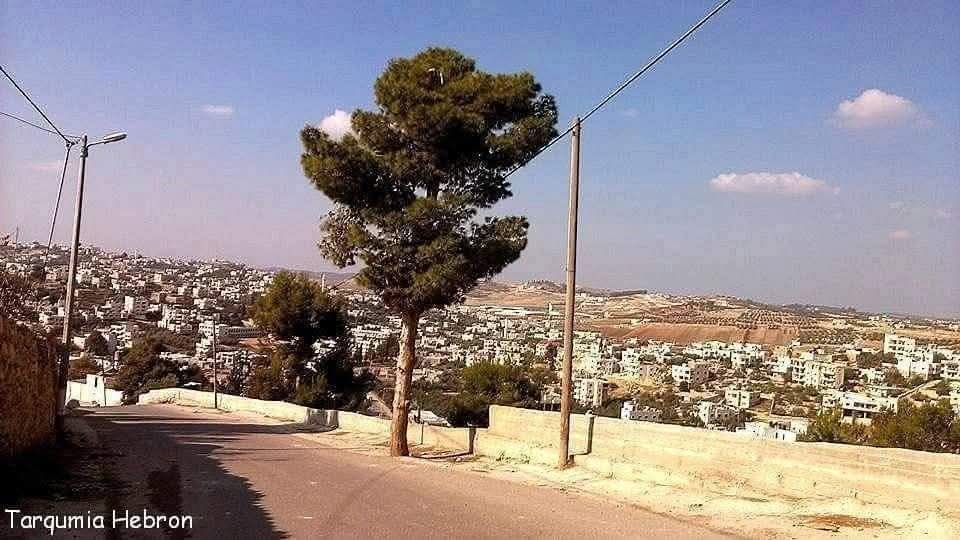 الخليل | موسوعة القرى الفلسطينية